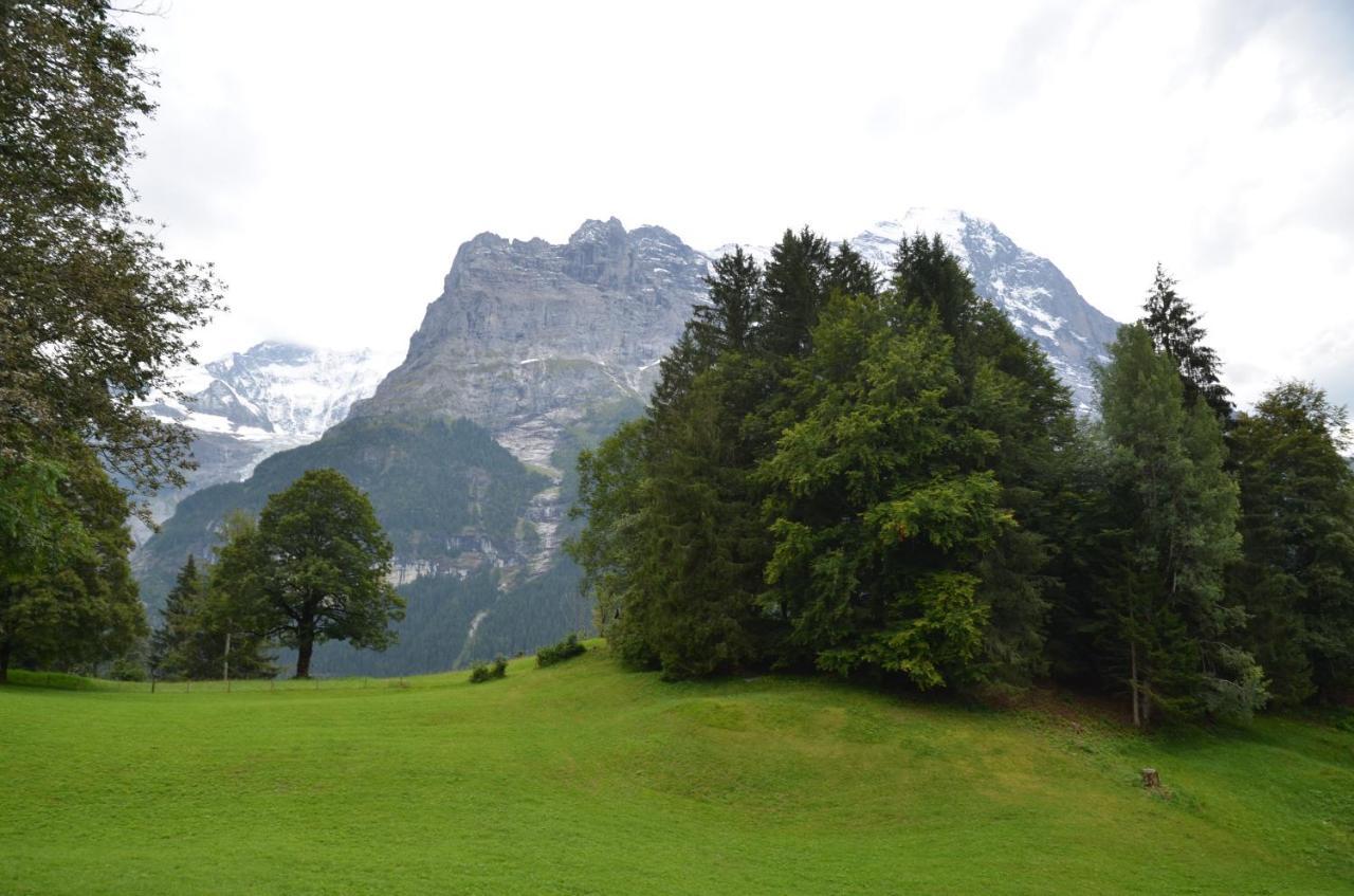 Apartment Grindelwaldgletscher - Griwa Rent Ag Esterno foto