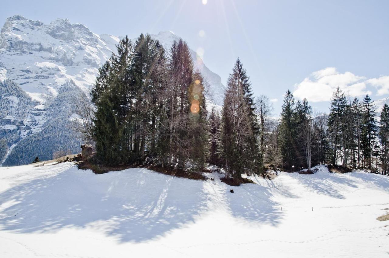 Apartment Grindelwaldgletscher - Griwa Rent Ag Esterno foto